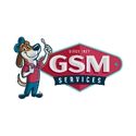 GSM